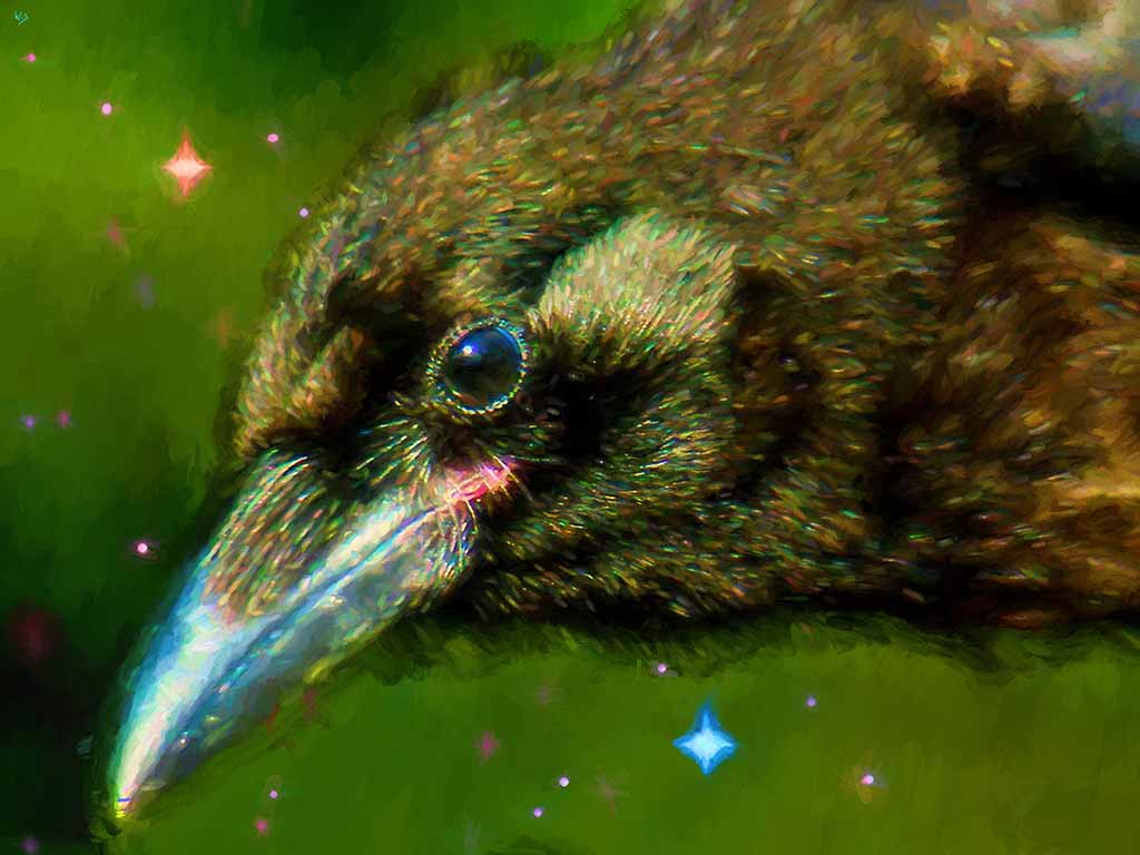 Crow Bird Portrait Crow Bird Portrait, digital portrait painting on Art Canvas Print by Wieslaw Sadurski
