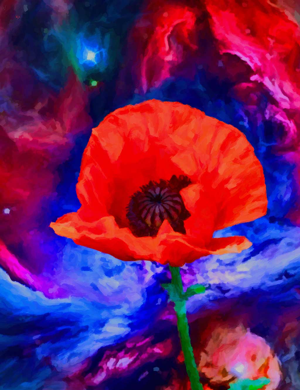 Poppy Flower against Nebula Poppy Flower against Nebula, digital painting on Art Canvas Print by Wieslaw Sadurski