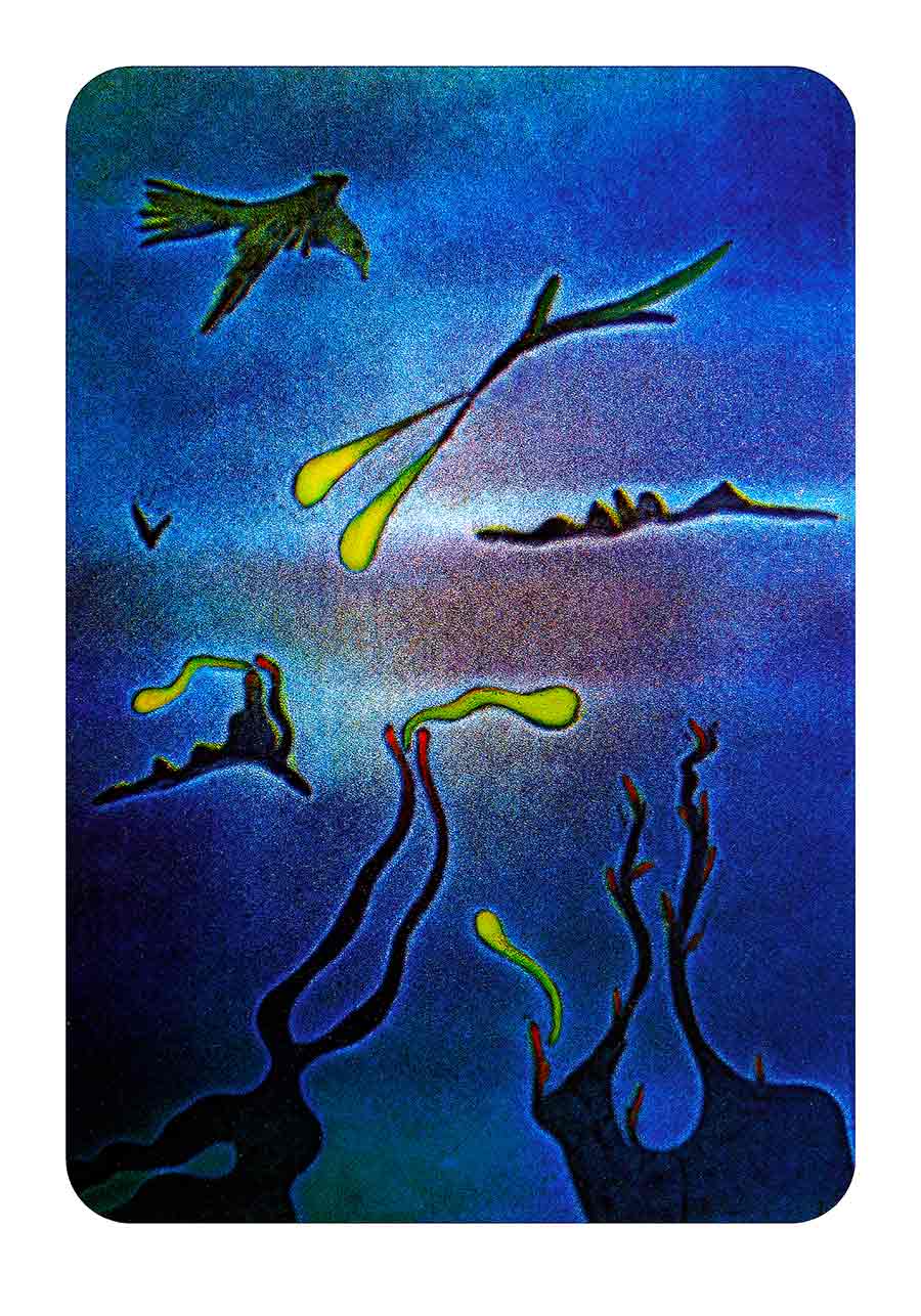 Bird Comp Bird Comp, Print-Painting on Paper and Art Print by Wieslaw Sadurski