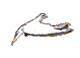 white dove animation white dove animation by Wieslaw Sadurski